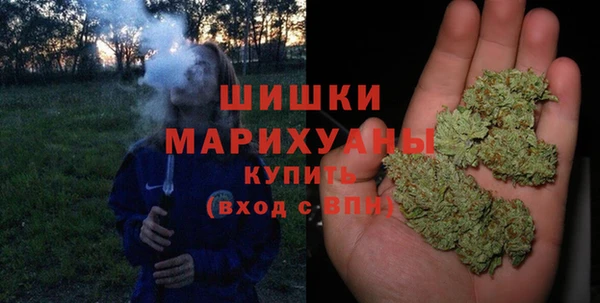 ALPHA PVP Верея