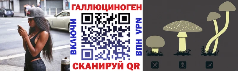 Псилоцибиновые грибы мицелий  Камызяк 